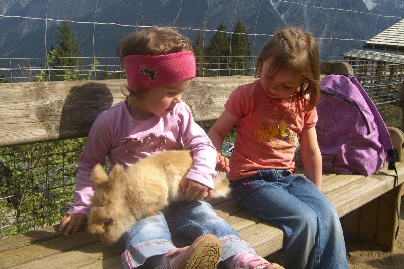 Wildpark