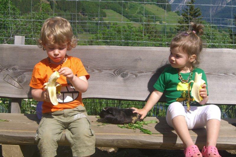 Wildpark