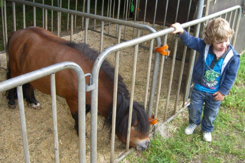 Zirkusbesuch