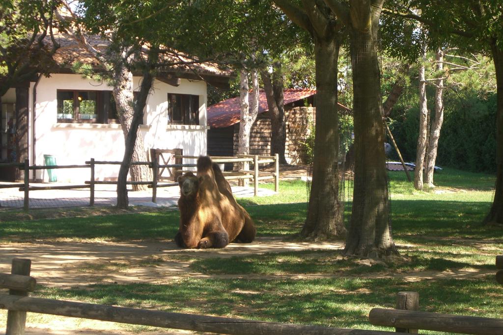 Zoo Lignano