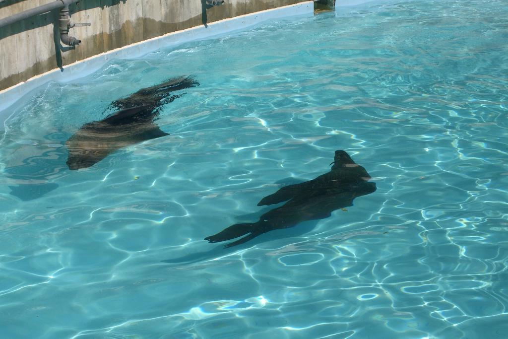 Zoo Lignano