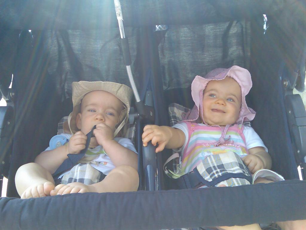 Wir