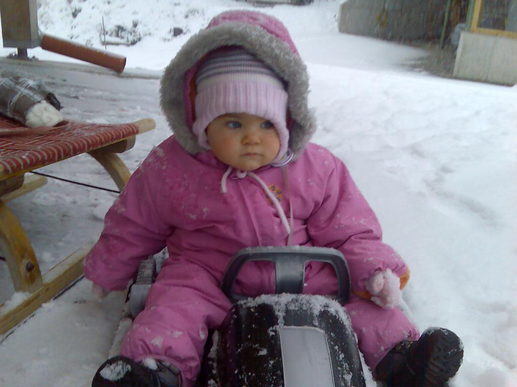 schneit