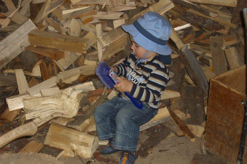 Holz